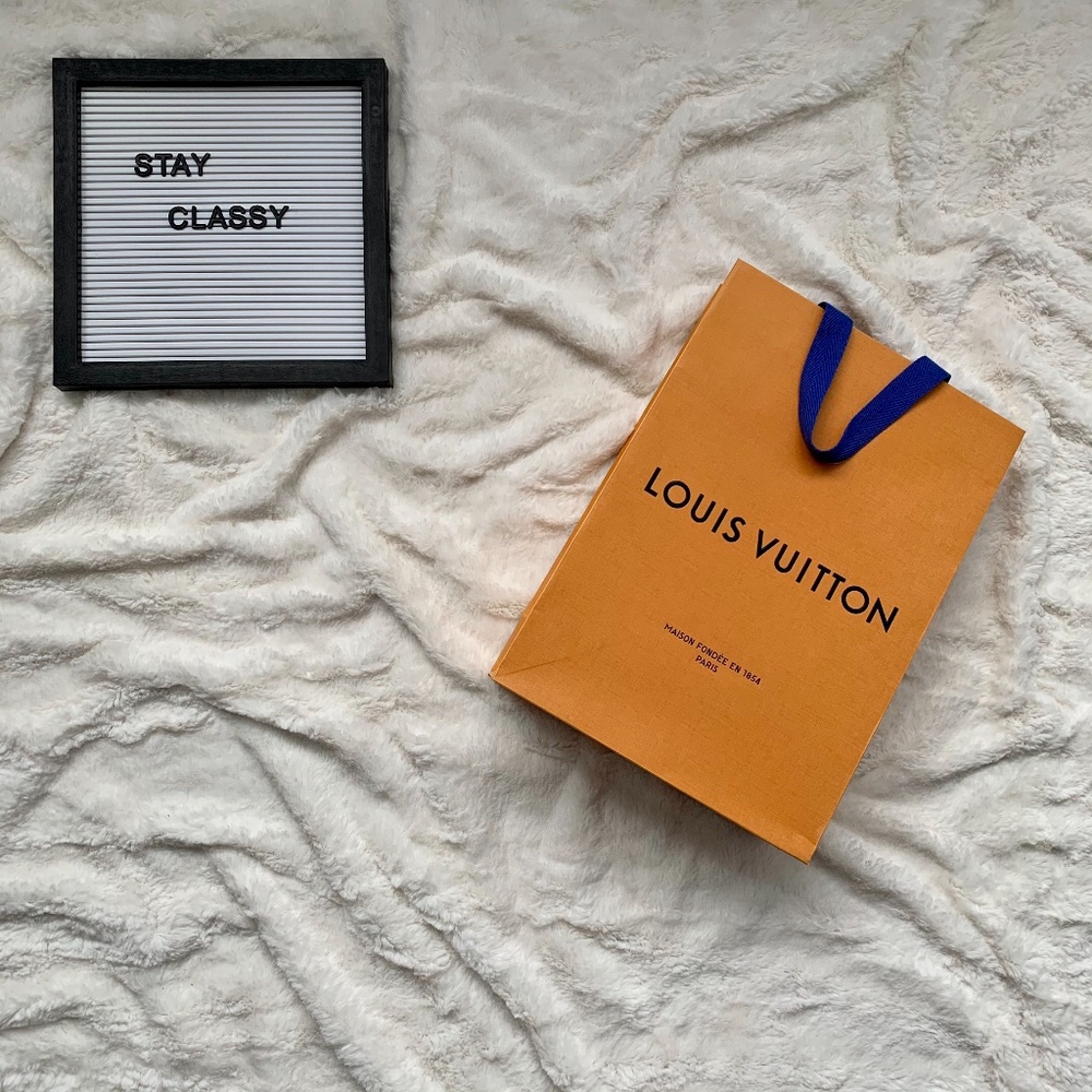 Louis Vuitton Gift Bag